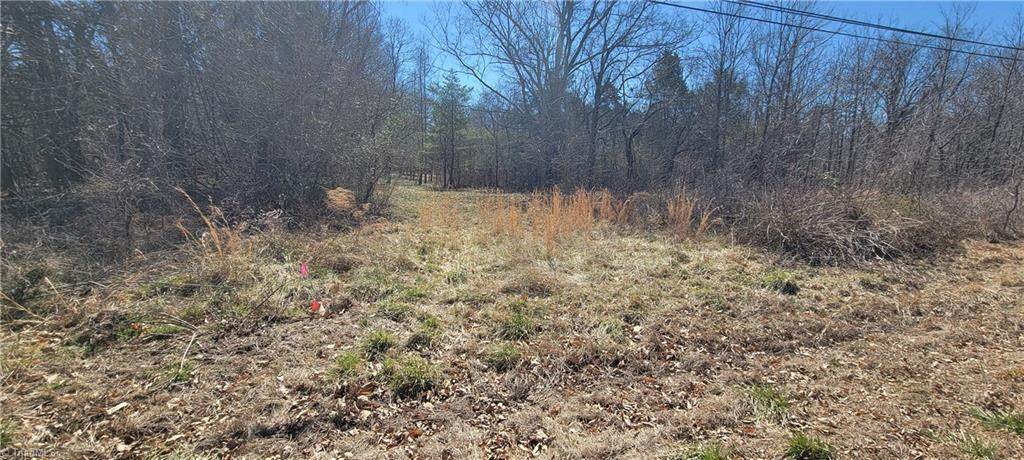 5424 Wild Turkey Road - Photo 1