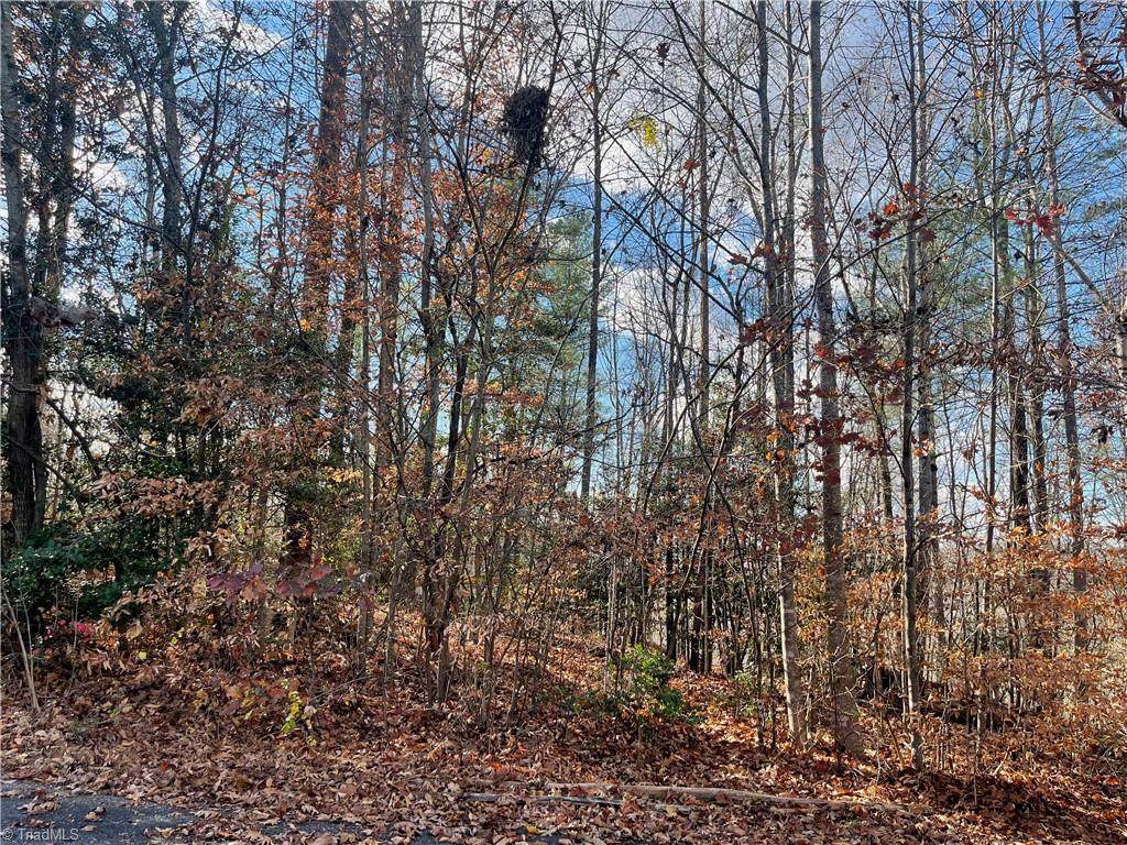 Lot 4 Longview Drive - Photo 1