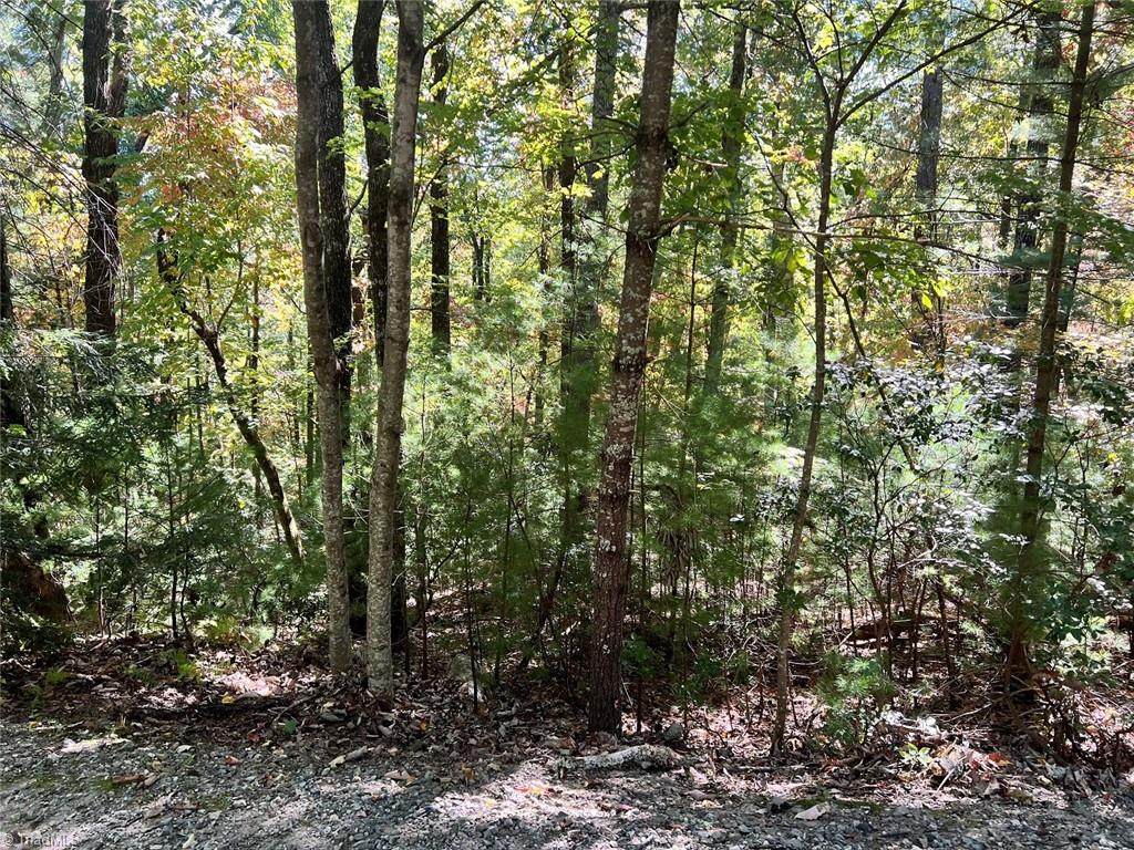 8 Laurel Road - Photo 1