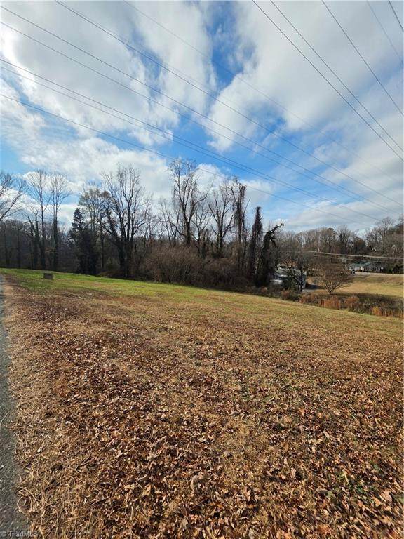 1711 Selma Street - Photo 1