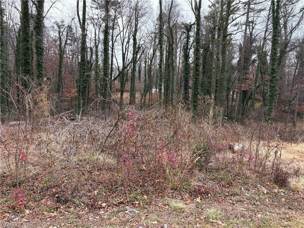 0 Chesapeake Drive - Photo 1