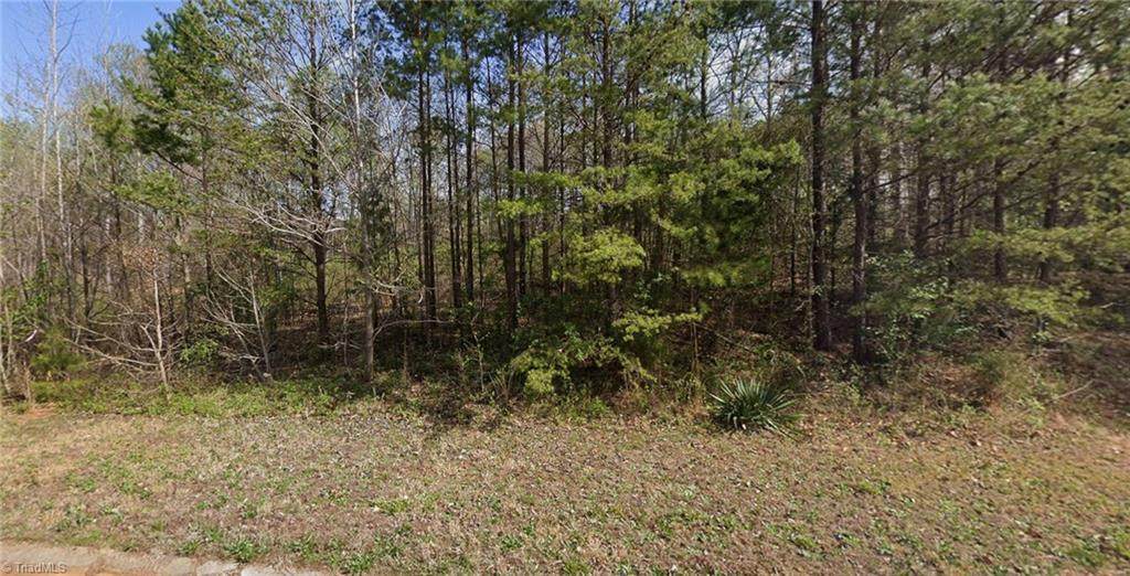 7411 Birchbend Lane - Photo 1