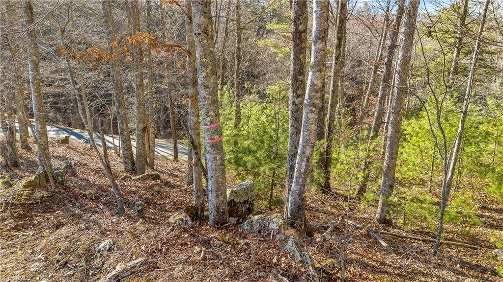 TBD River Stone Drive - Photo 1