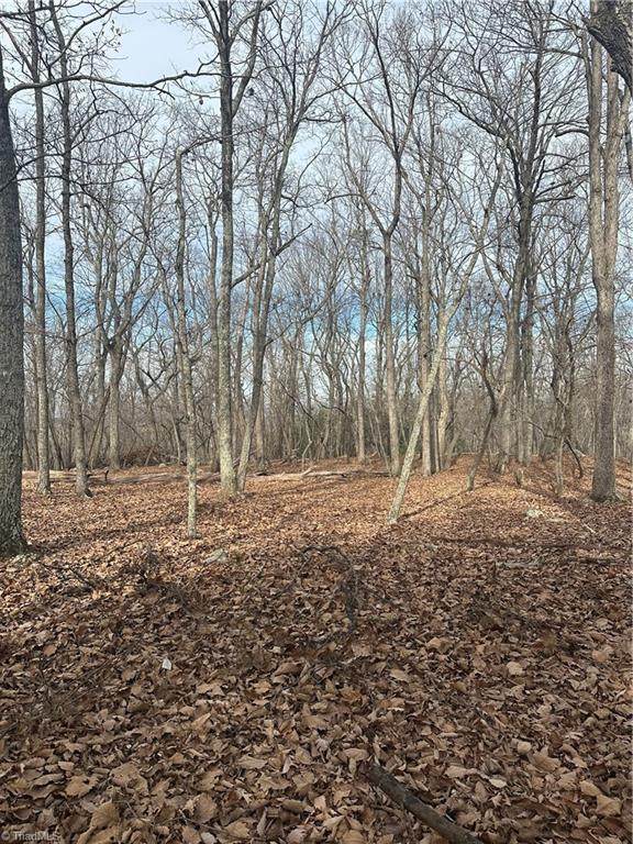 1527 Sierra Trace Road - Photo 1