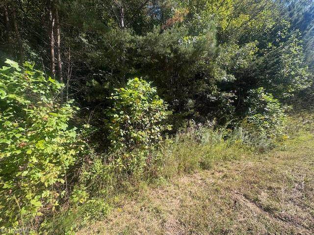 00 Parsonsville Road - Photo 1