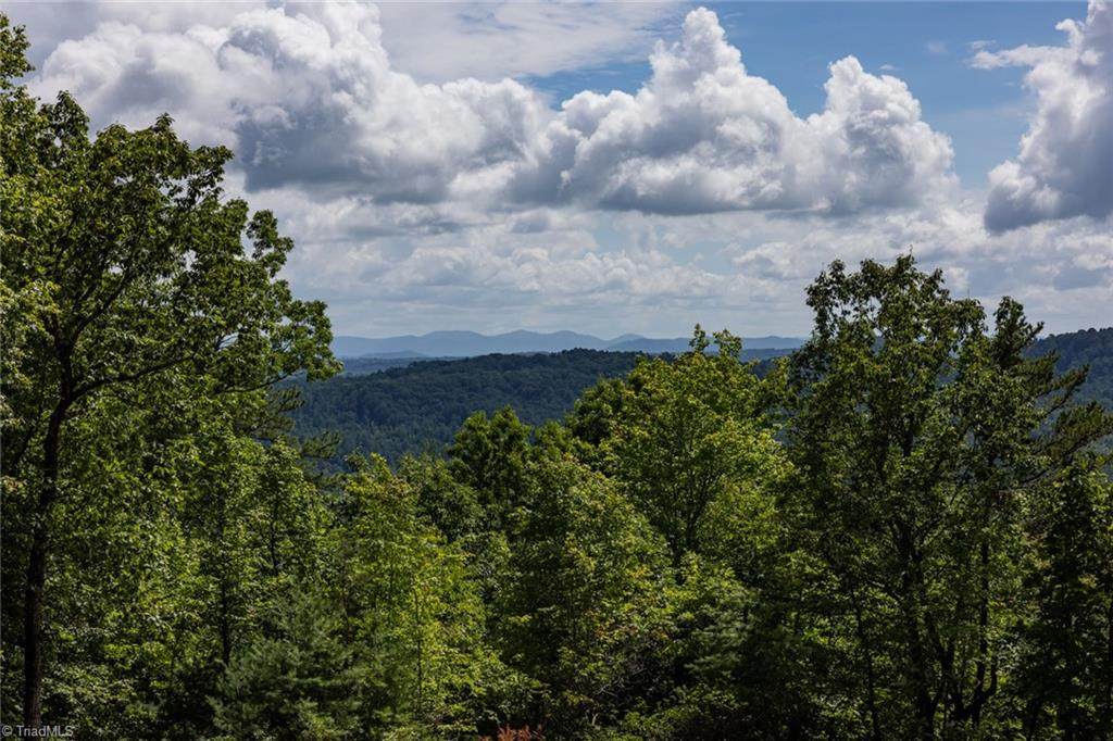 Lot 158 Carriage House Trail - Photo 1