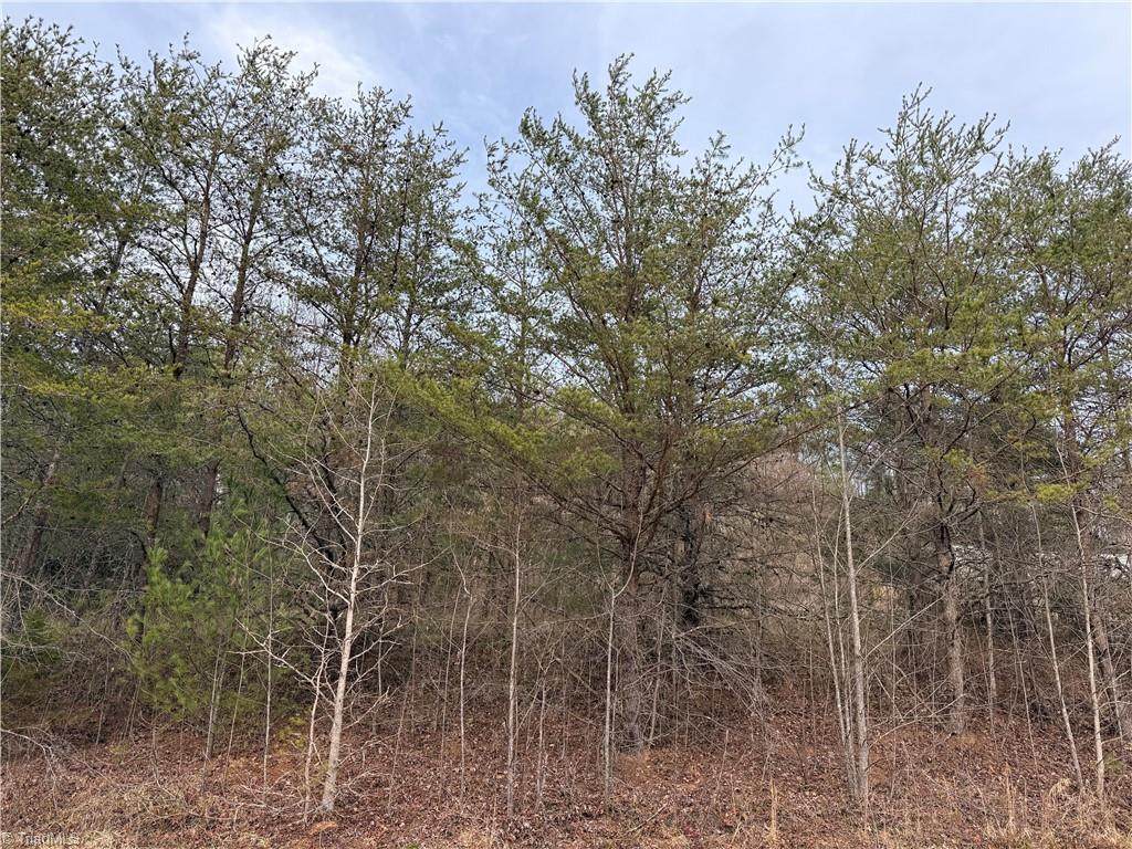 TBD Mount Zion Road - Photo 1