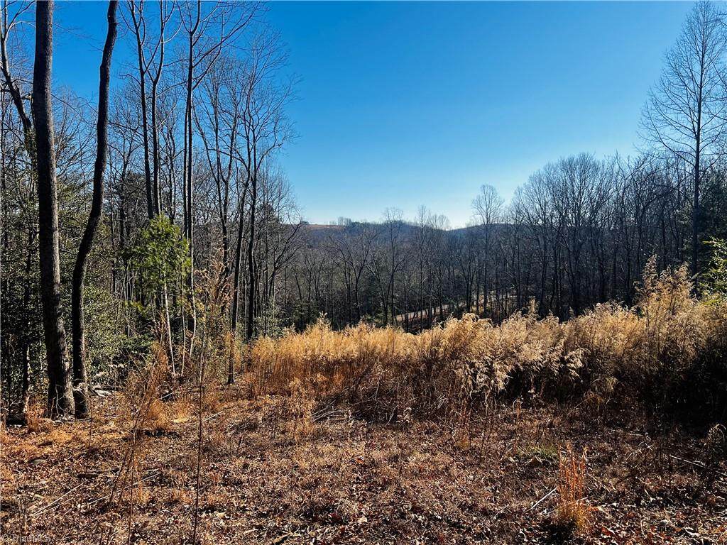 TBD Holly Springs Road - Photo 1