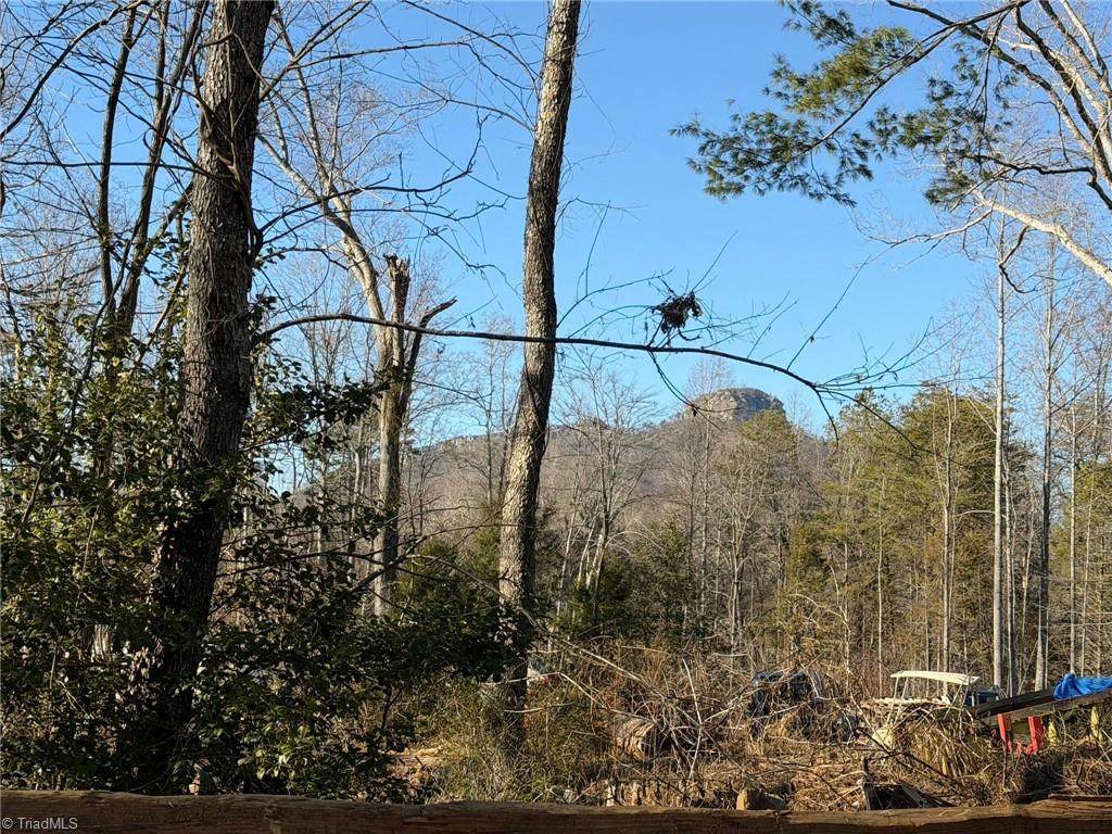 538 & 545 Culler Road - Photo 1
