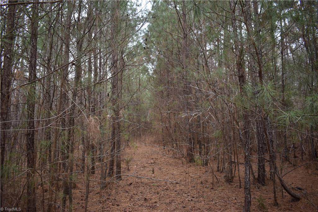 257 Piney Grove Church Road - Photo 1