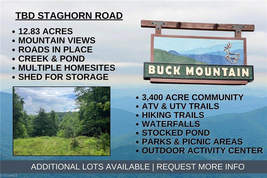 TBD Staghorn Road - Photo 1