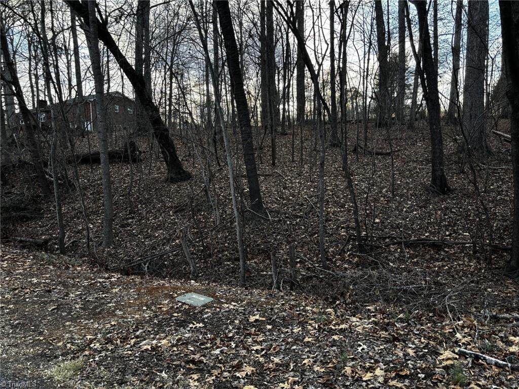 0 Regalwood Drive - Photo 1
