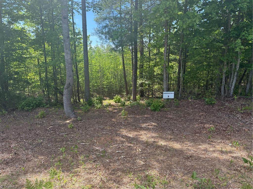 00 Parks Ridge Road - Photo 1