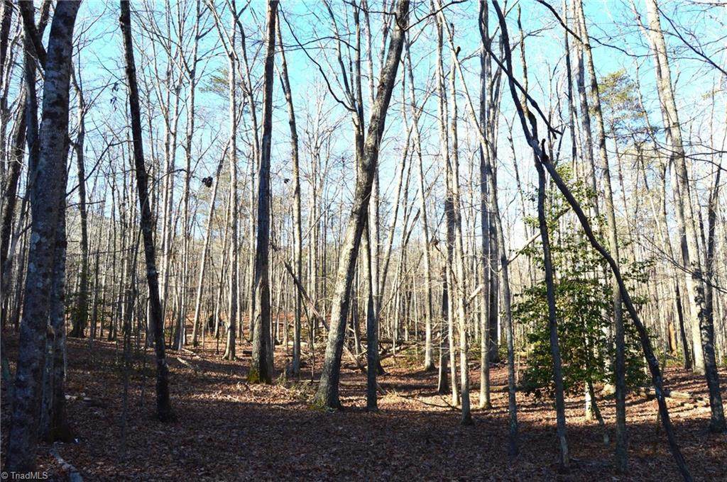 1010-1372 Hanging Rock Park Road - Photo 1
