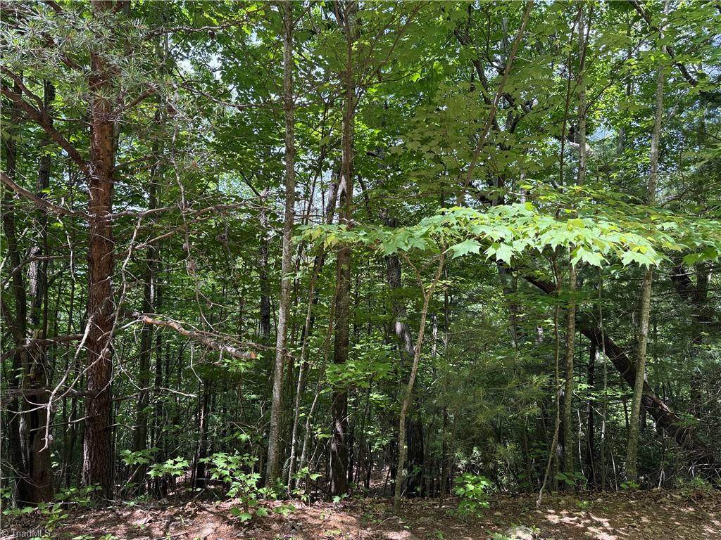 Lot 132A Warren Way - Photo 1