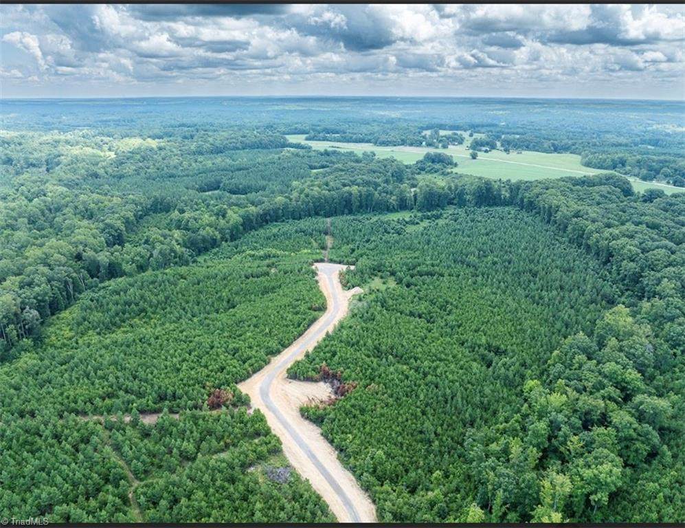 585 Briar Ridge Lane Extension - Photo 1