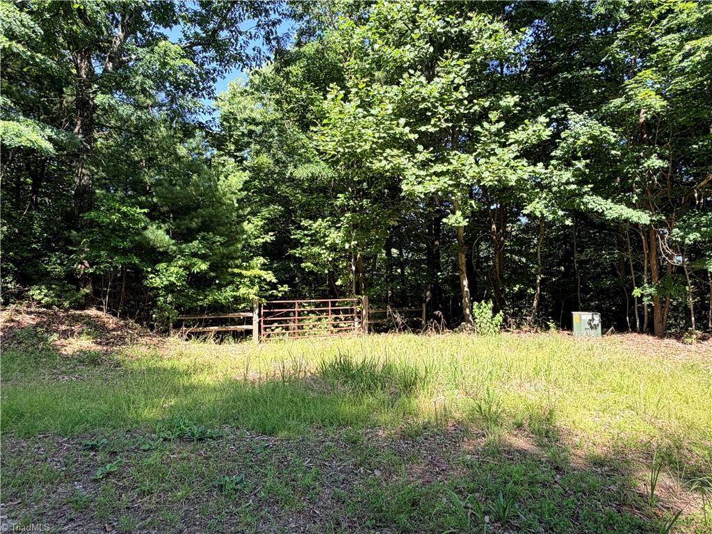 Lots 171 & 172B Blue Rock Road - Photo 1
