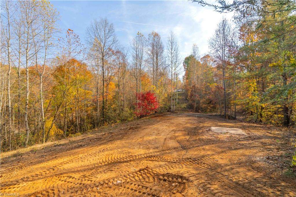 1165 Dehart Community Ctr Road - Photo 1