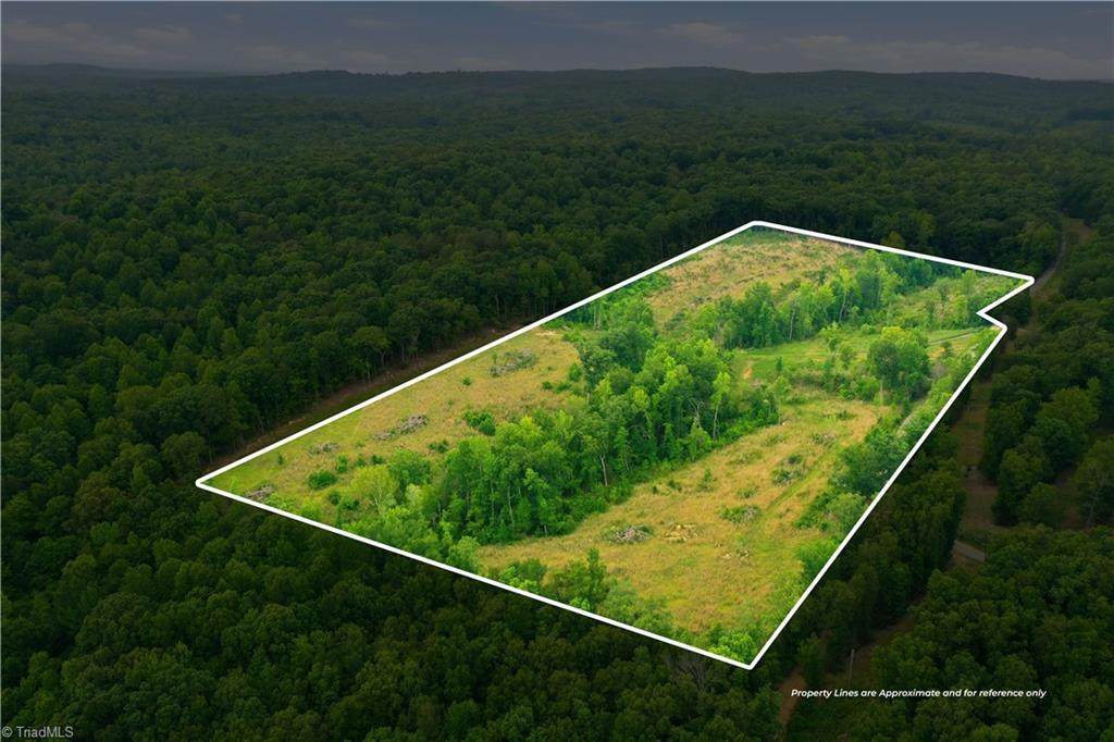 00 Cane Creek Road - Photo 1