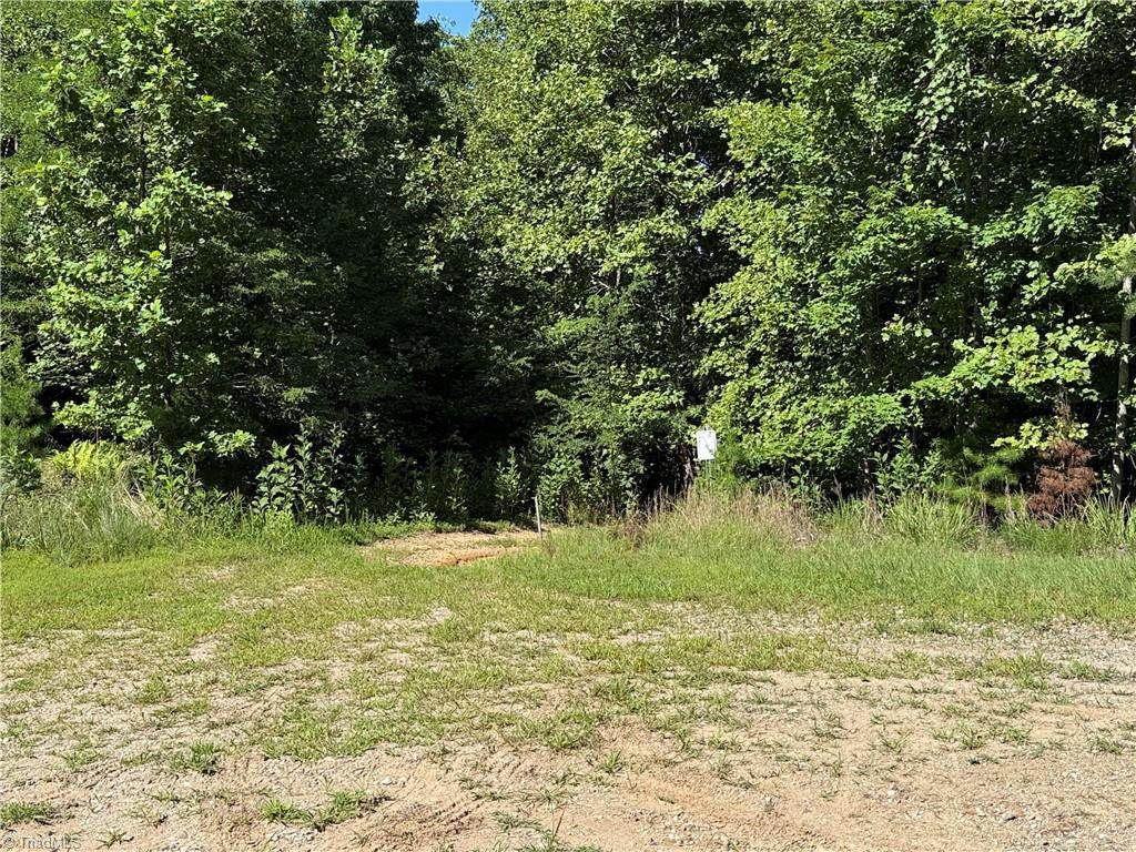 Lot 222 Casey Mountain Road - Photo 1