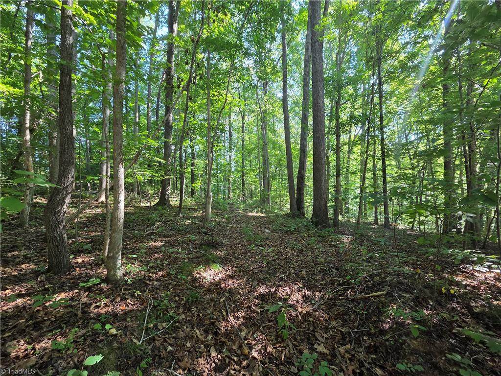 Lot 1 Pin Tail Drive - Photo 1