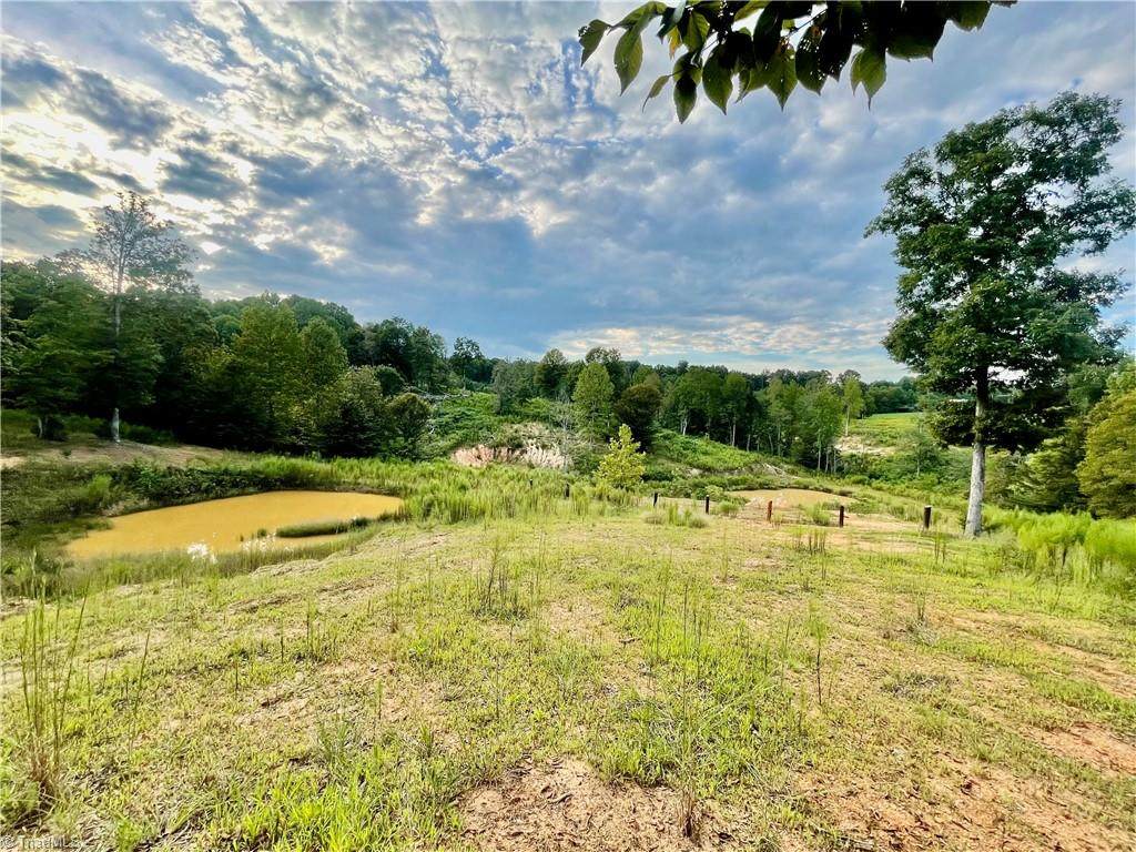 325 Ellas Lane - Photo 1