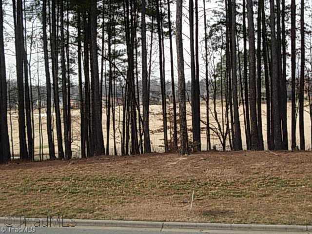147 Medinah Drive - Photo 1