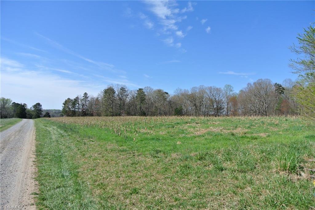 1 Kentucky Home Road - Photo 1