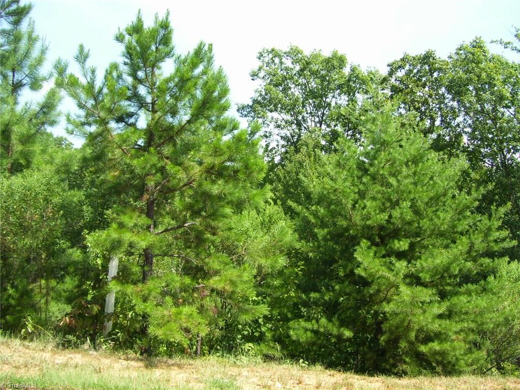0 Burney Mill Road - Photo 1