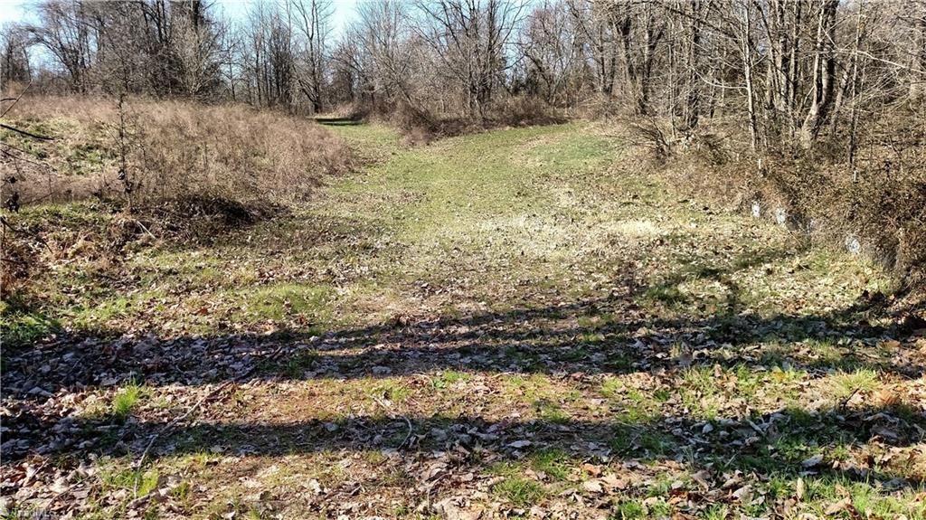 0 Old Highway 29 - Photo 1