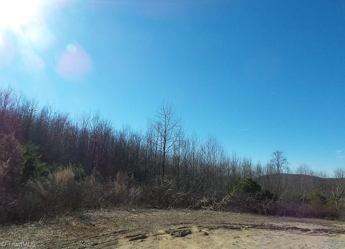 0 Cheek Road - Photo 1