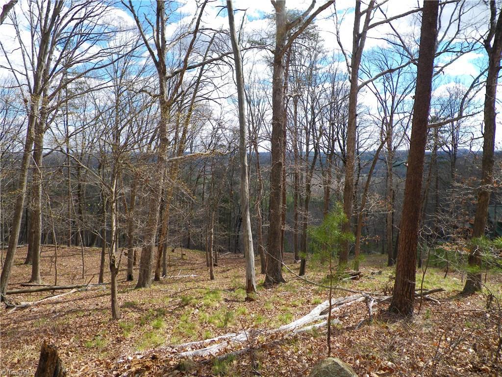 155 Plateau Lane - Photo 1