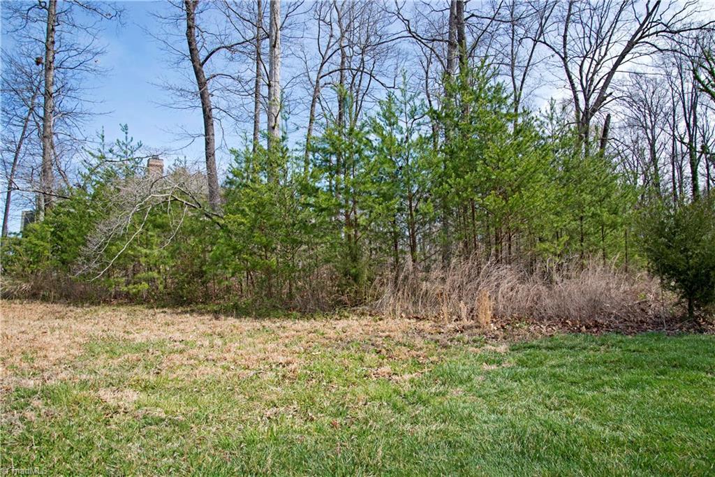 3314 Olde Sedgefield Way - Photo 1