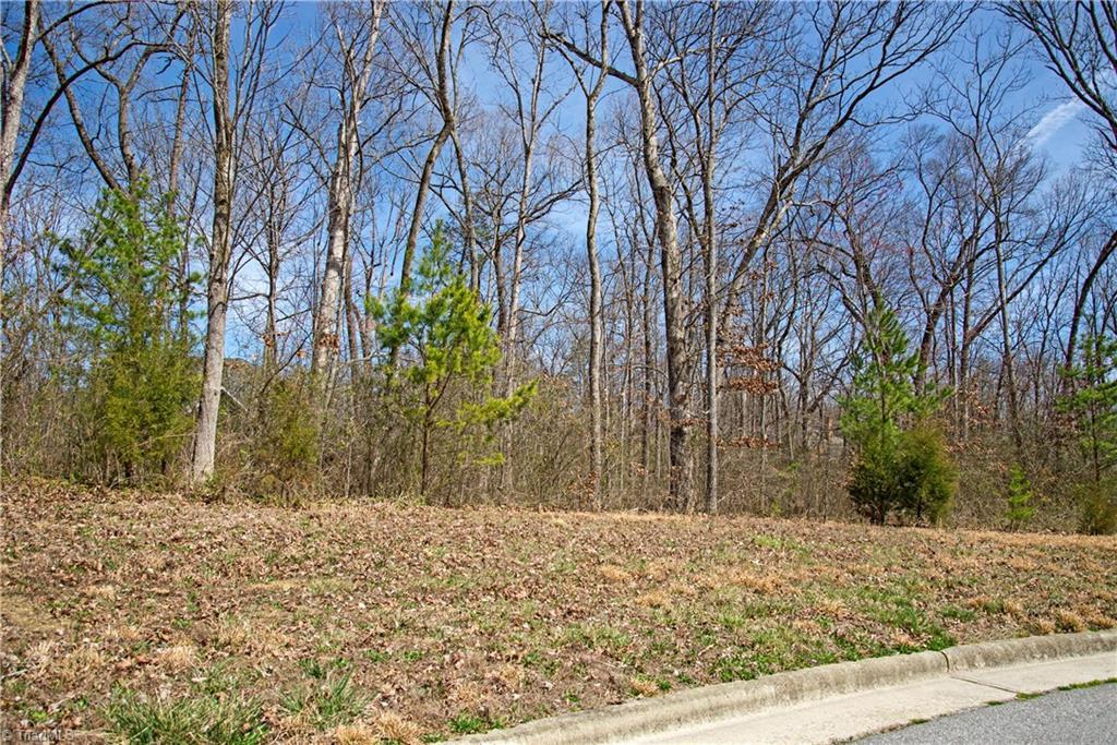 5702 Madison Oaks Court - Photo 1