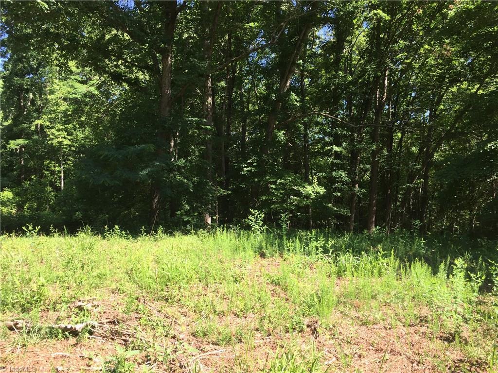 0 Fairview Drive - Photo 1