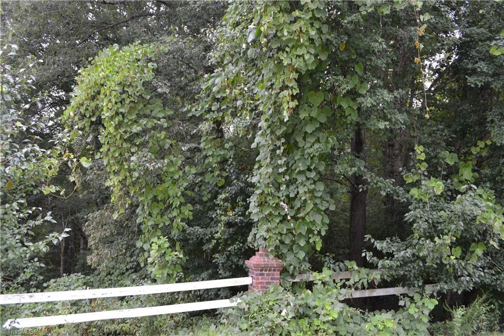 8101 Brittains Field Road - Photo 1