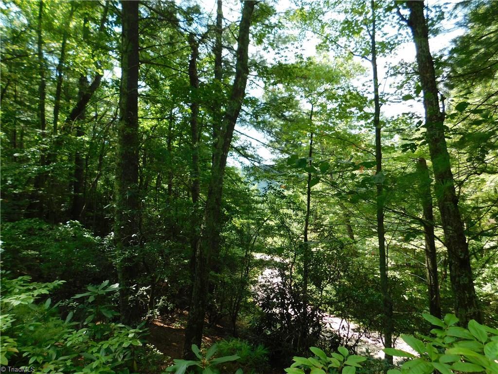 10 Old Nc Highway 16 - Photo 1