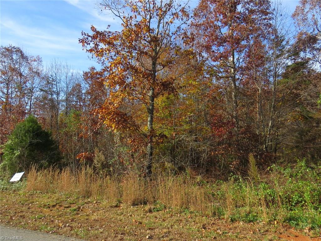 224 Donsdale Drive - Photo 1