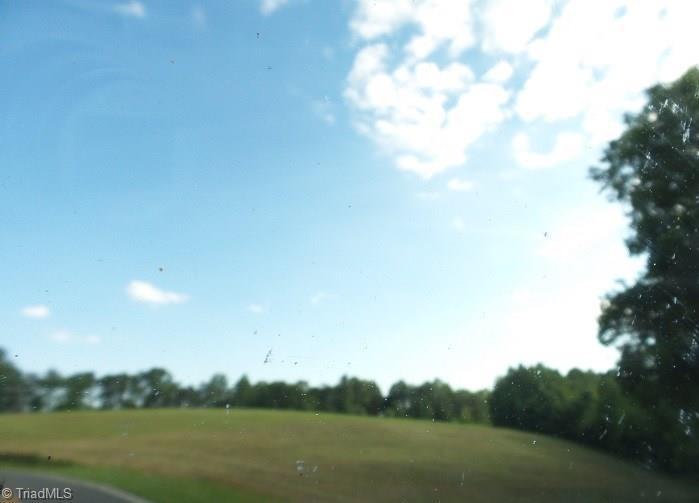 0 Old Rockford Road - Photo 1