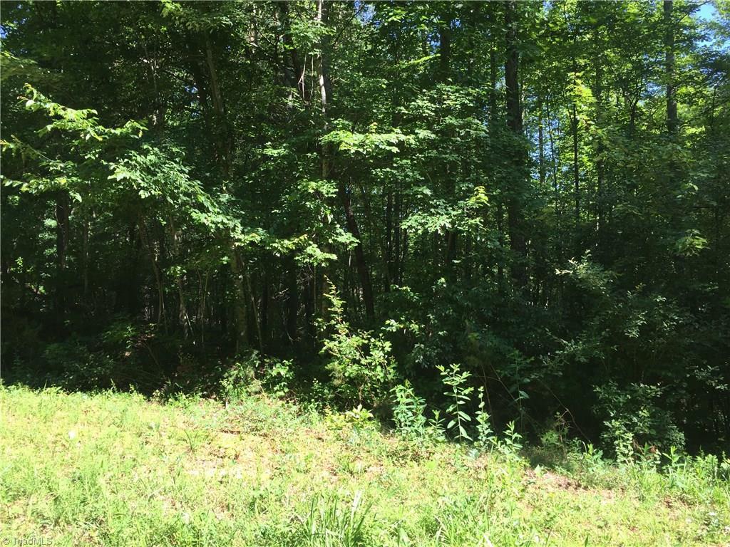 0 Fairview Drive - Photo 1