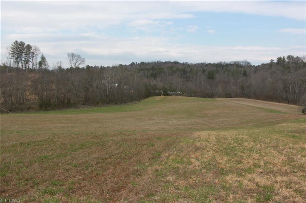 Pisgah Ridge Circle - Photo 1