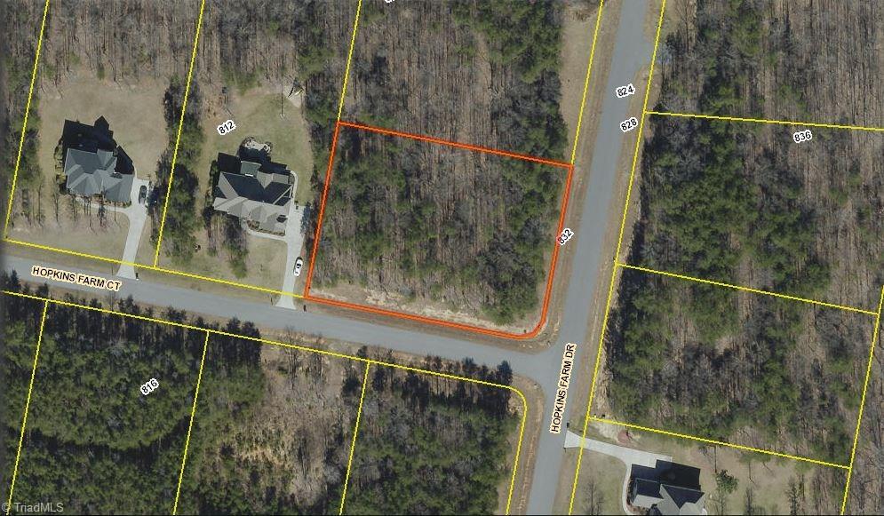 7909 Hopkins Farm Drive - Photo 1