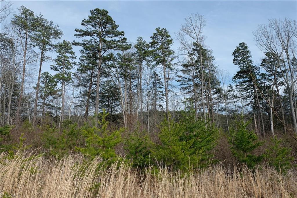 0 Nc Highway 8 - Photo 1