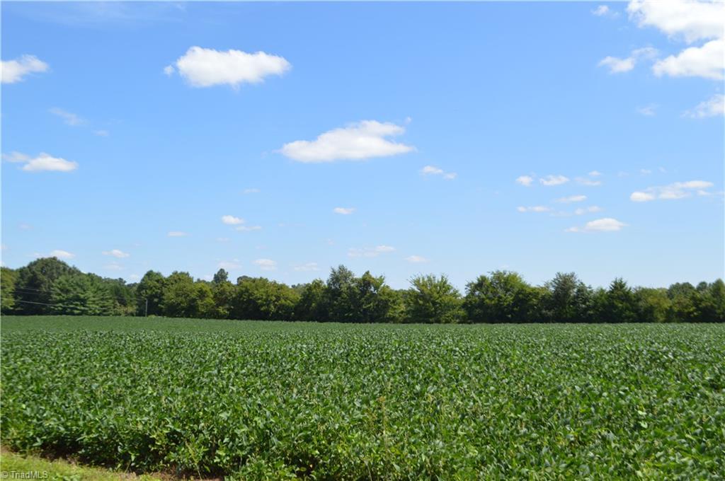 0 Cedar Creek Road - Photo 1
