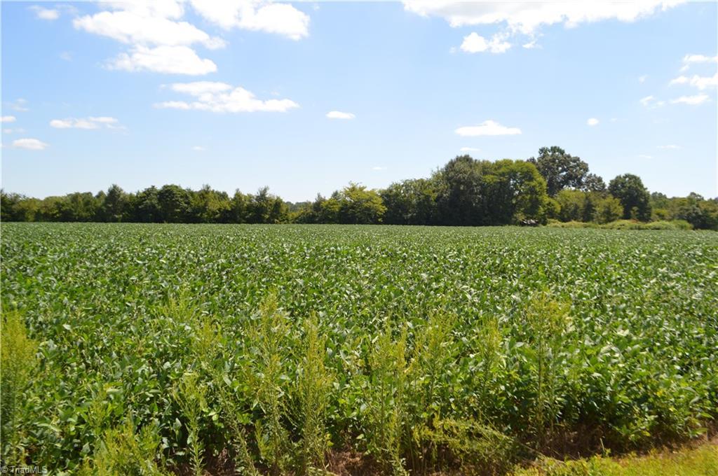 0 Cedar Creek Road - Photo 1