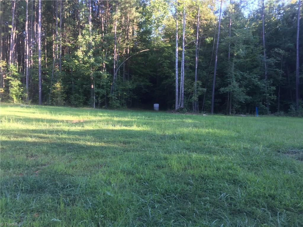 4052 Autumn Olive Drive - Photo 1