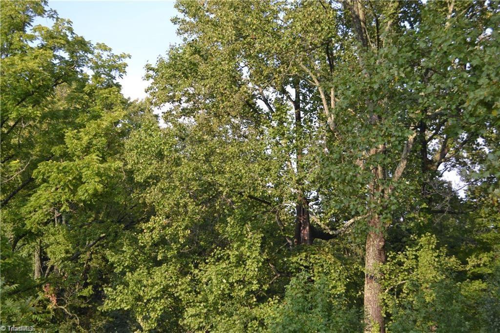 8101 Brittains Field Road - Photo 1