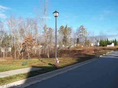 2665 Dandelion Drive - Photo 1
