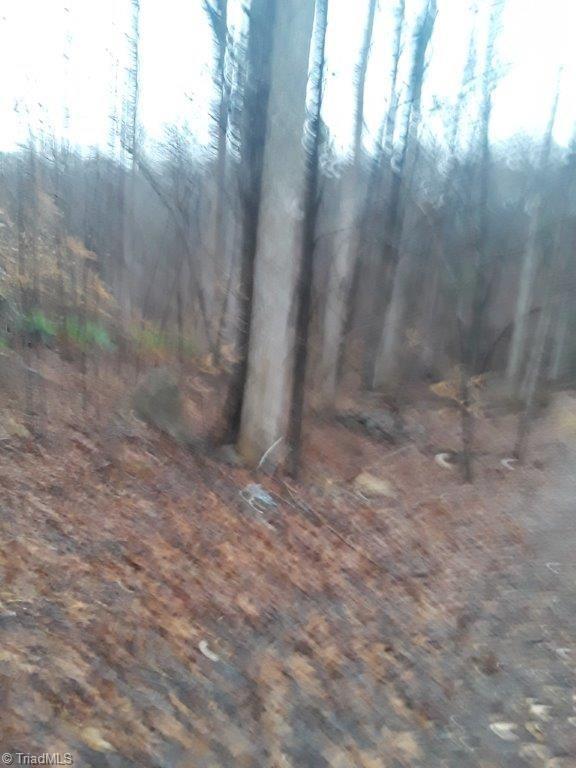 0 Idlebrook Trail - Photo 1