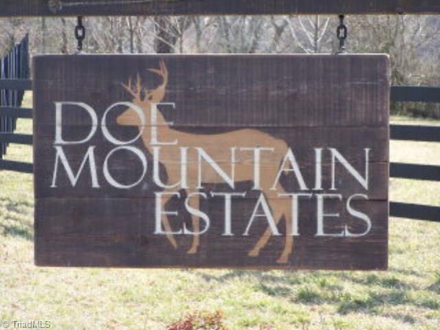 0 Whitetail Drive - Photo 1